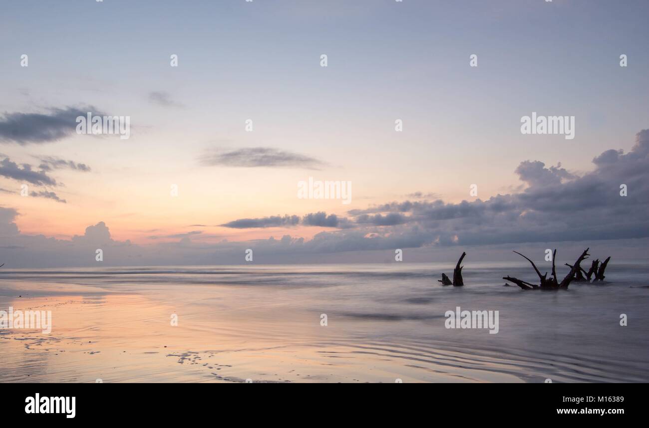 Bellissimo paesaggio marino e la spiaggia con un cielo espressive e driftwood e gli alberi morti sulla spiaggia al tramonto sulla spiaggia di cimitero in Carolina del Sud Foto Stock