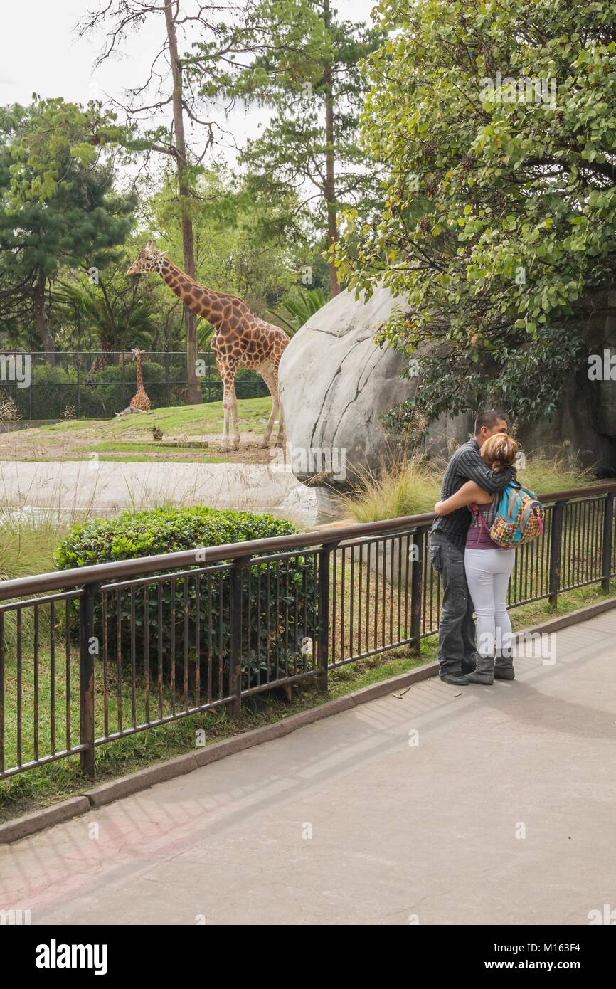 Coppia giovane abbracciando in un zoo in Città del Messico. Foto Stock
