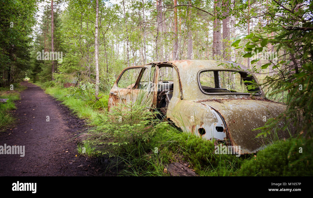 Vecchia auto abbandonate nella foresta. Foto Stock