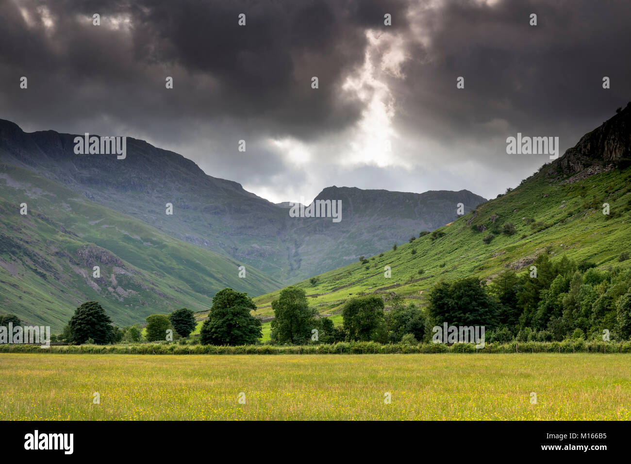 Langdale Valley e Fells; Lake District; Regno Unito Foto Stock