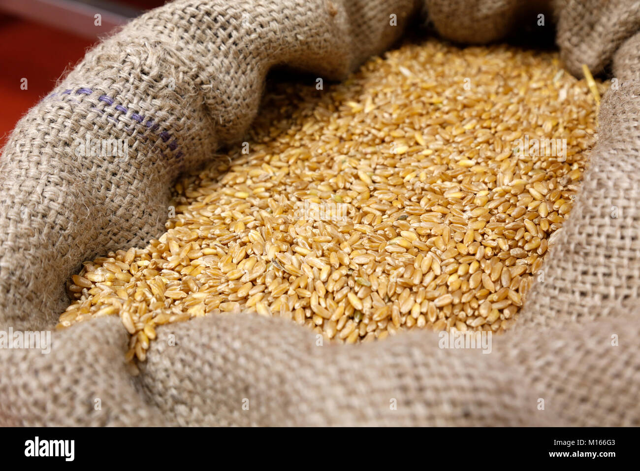 Il sacco di grano duro; Farm Shop; Cornovaglia; Regno Unito Foto Stock