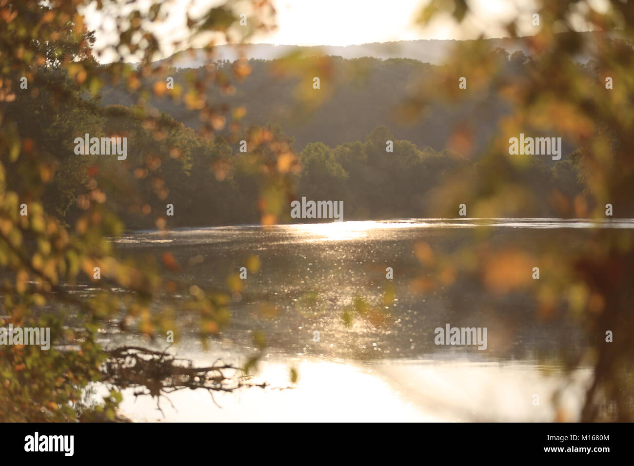 Forcella a sud del fiume Shenandoah - uno dei pochi fiumi in mondi quale flusso nord Foto Stock