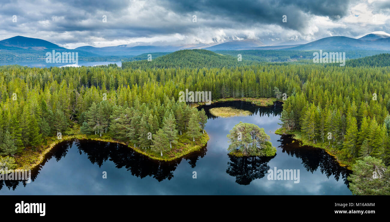 Panoramica di Loch Morlich, Glenmore Forest Park, Cairngorms National Park, Highlands Scozia, Gran Bretagna Foto Stock