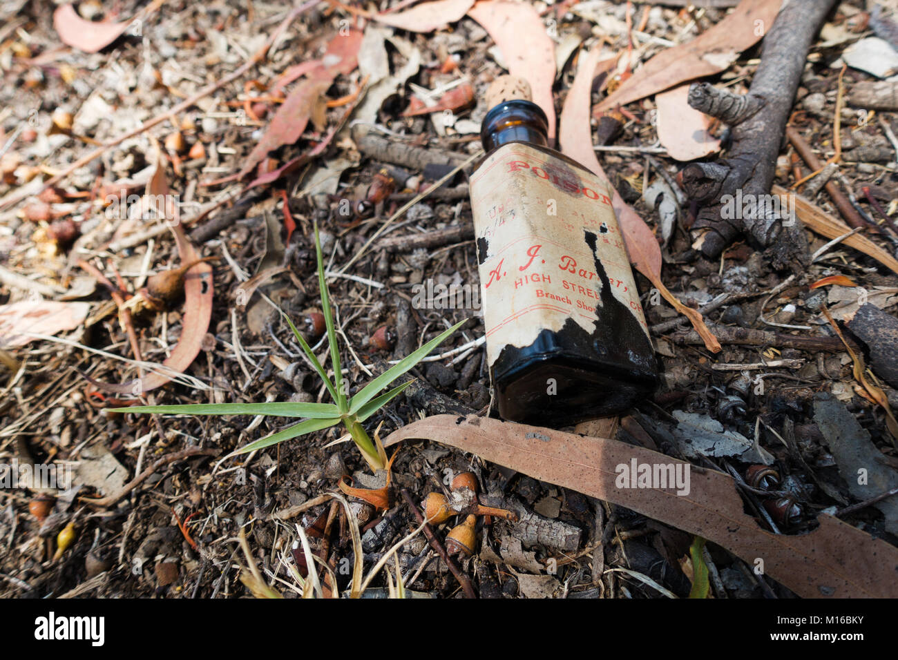 Australian veleno bottiglia con etichetta vecchia Foto Stock