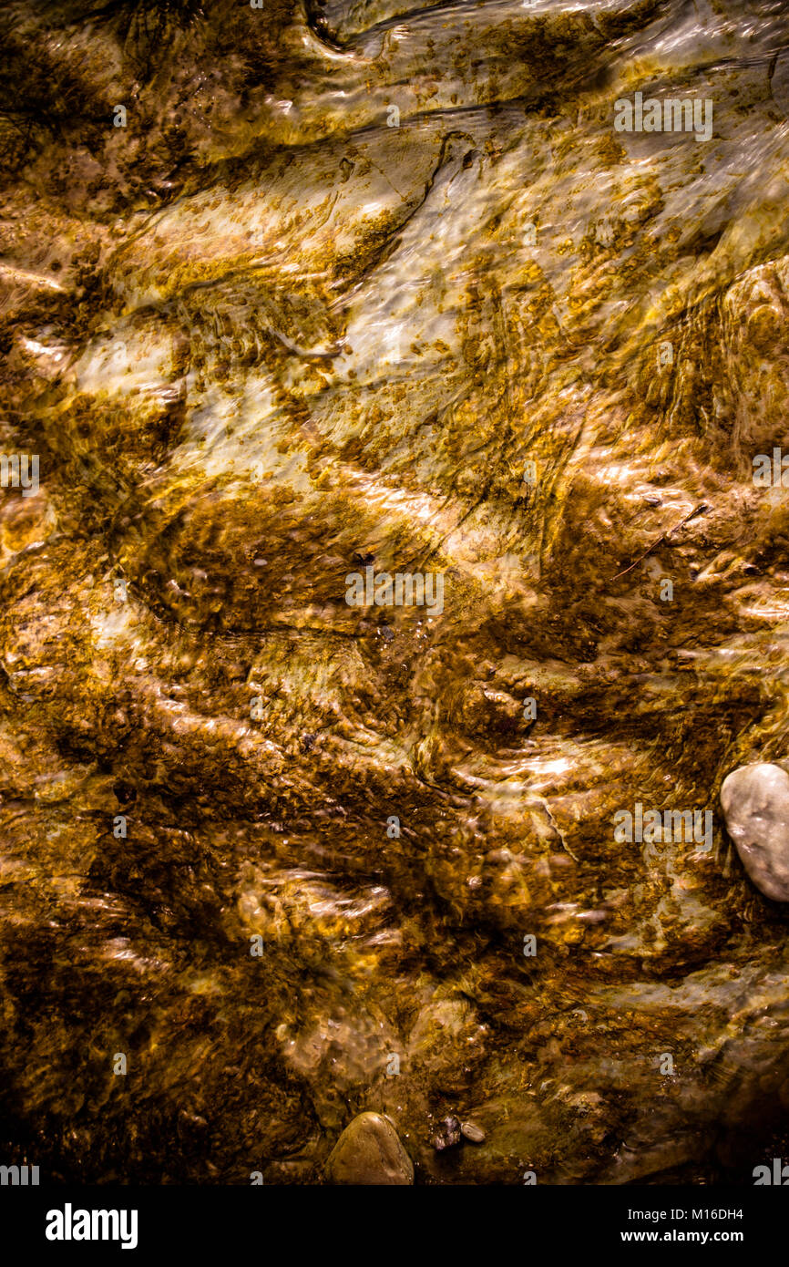 Le alghe Rock Foto Stock