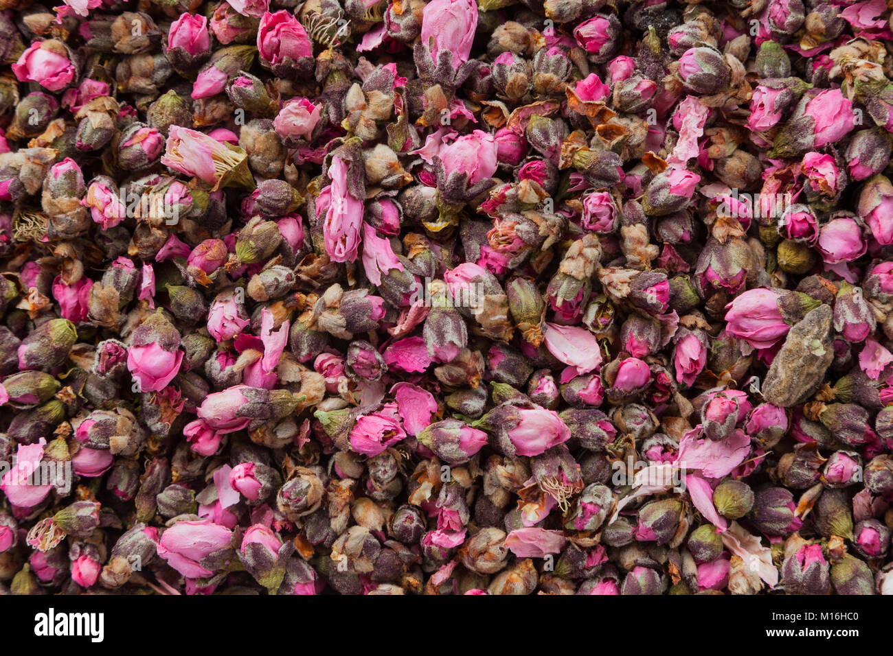 Fiori di tè texture. Peach blossom tè con limone. Fase organica essiccata fiore foglie di tè Foto Stock