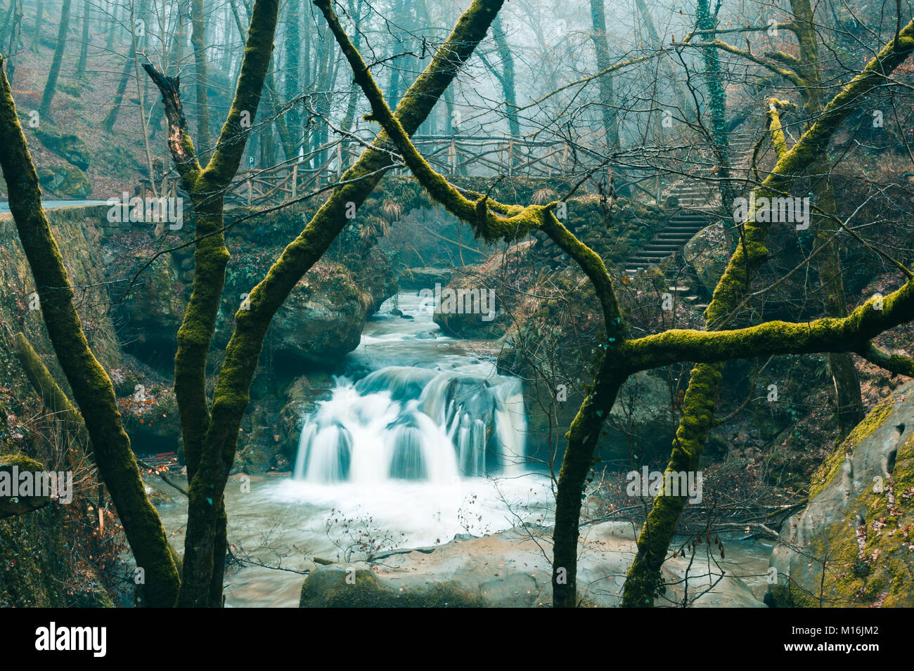 Müllerthall, Schiessentümpel cascata, Lussemburgo Foto Stock