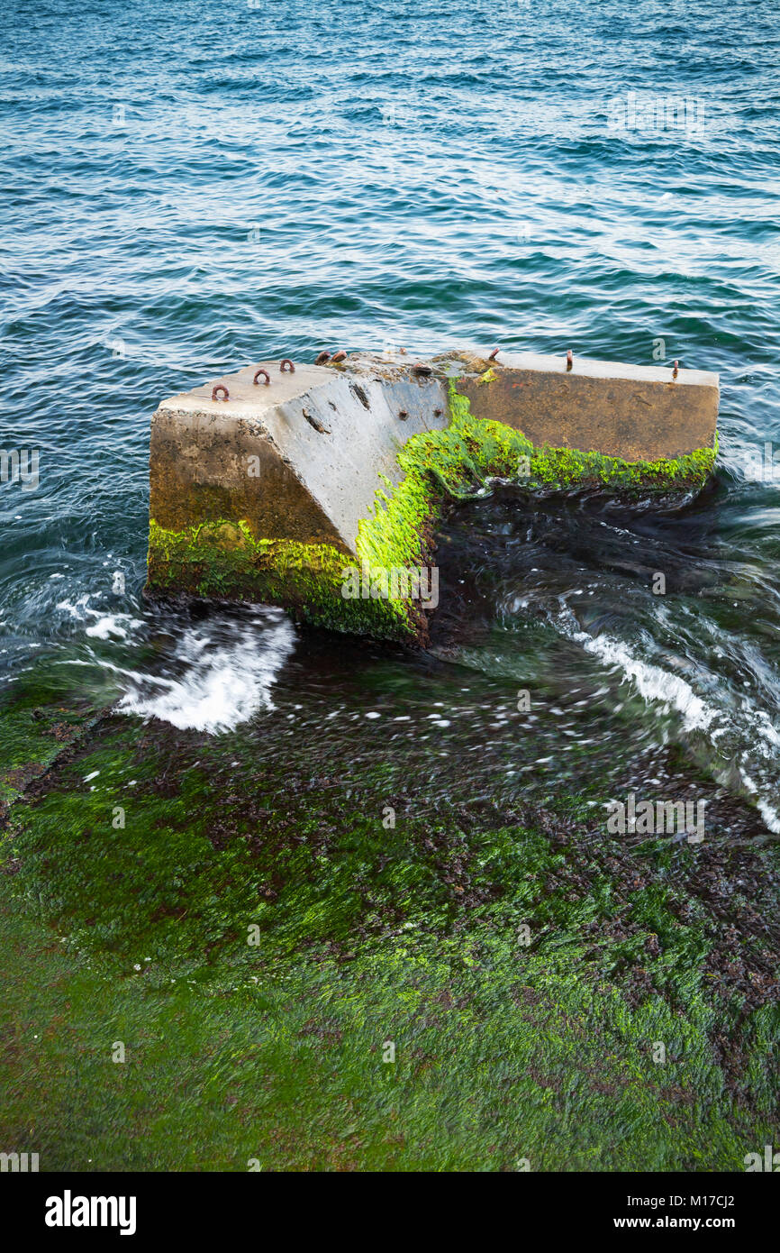 Rotture di molo di cemento parte con alghe verdi Foto Stock