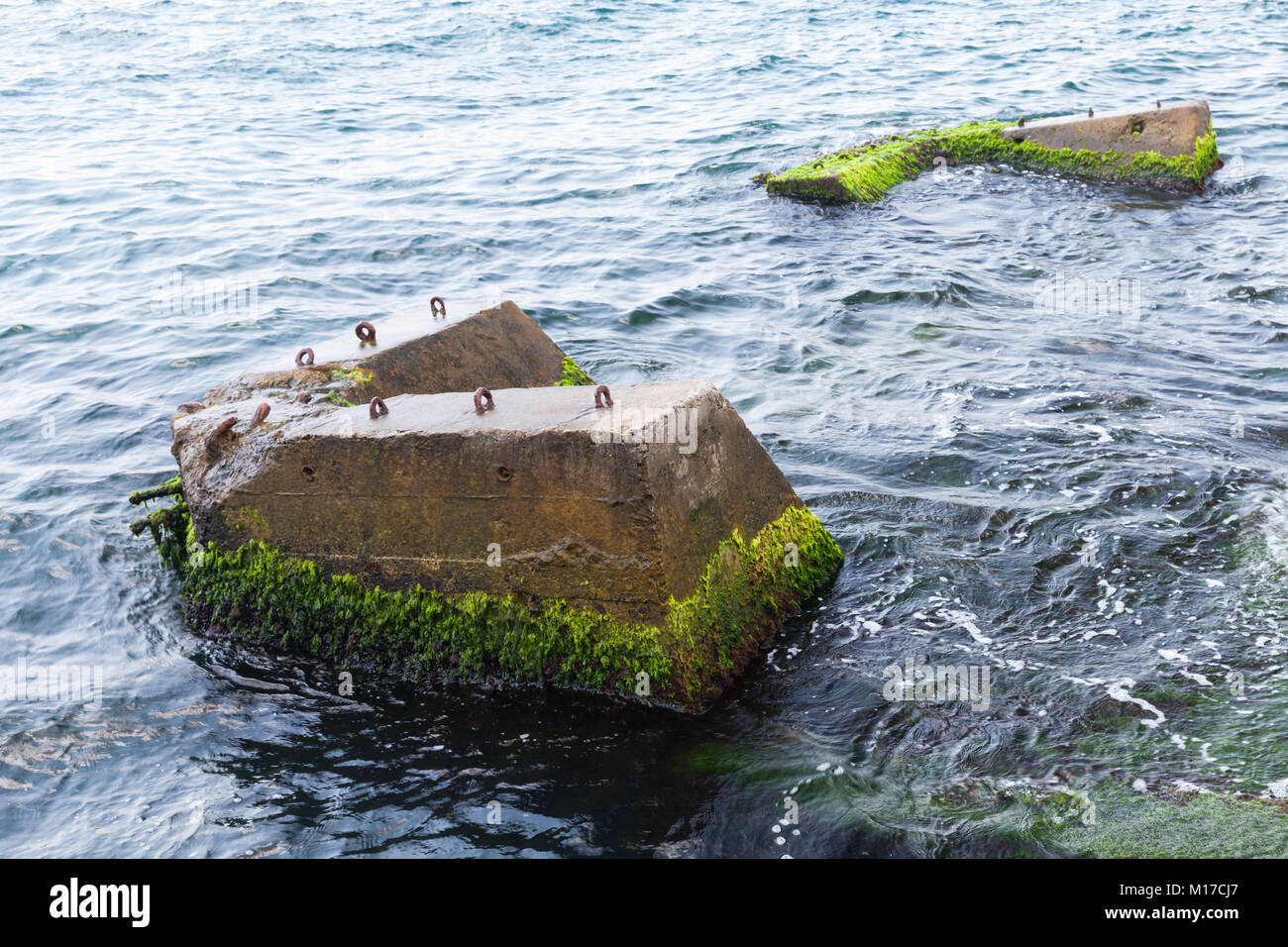 Rotture di pier parti concrete con alghe verdi, Bosforo Foto Stock