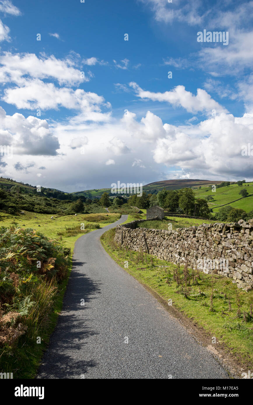 Bella giornata di settembre nei pressi di Reeth in Swaledale, Yorkshire Dales, Inghilterra. Foto Stock