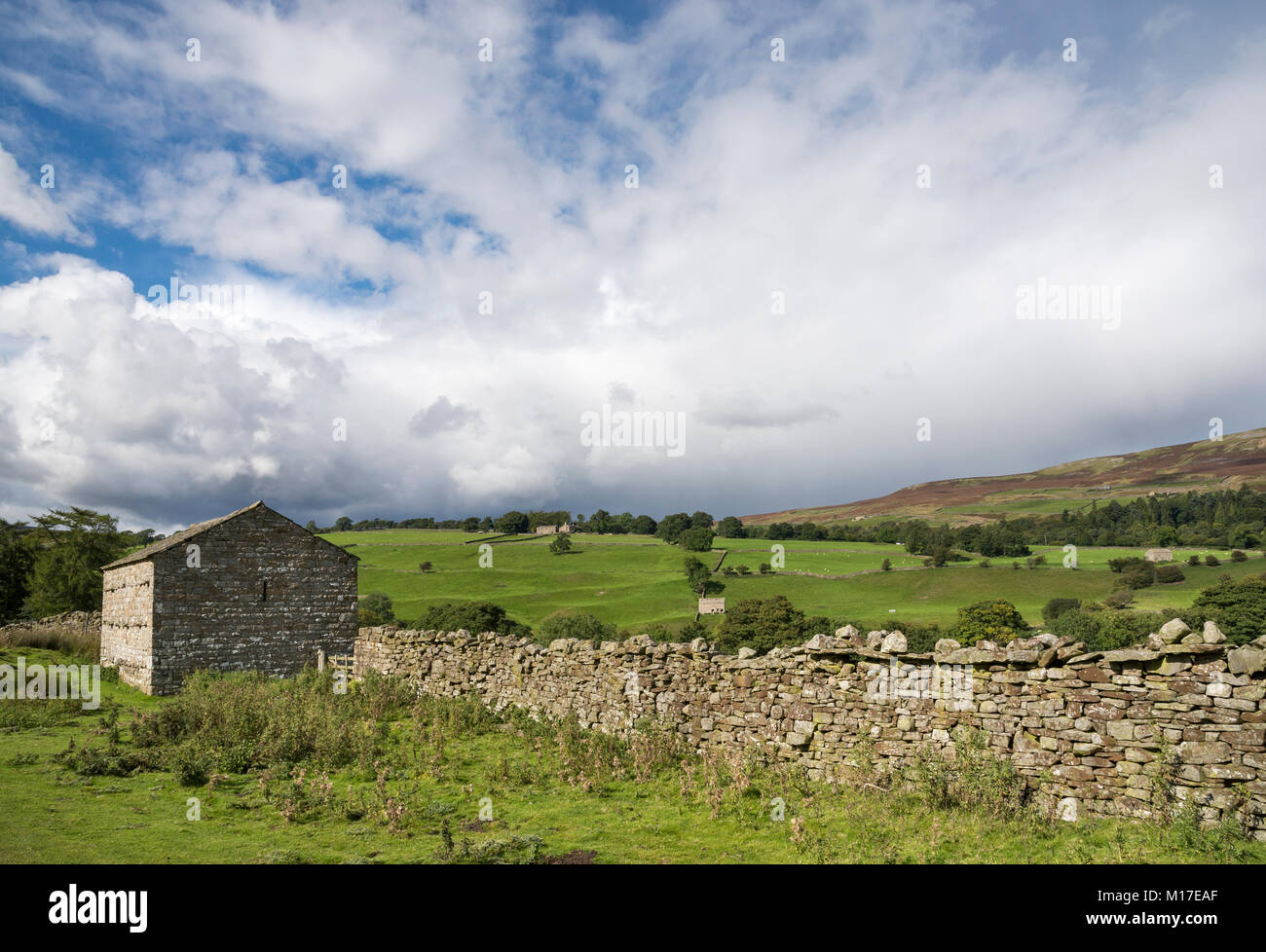 Bella giornata di settembre nei pressi di Reeth in Swaledale, Yorkshire Dales, Inghilterra. Foto Stock