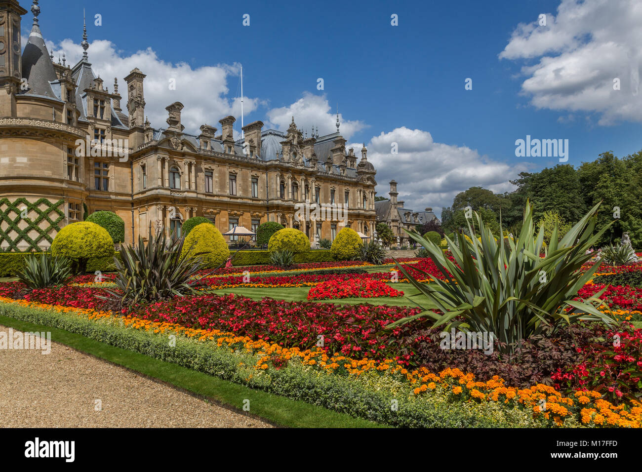 Il parterre a Waddesdon Manor in piena fioritura in rosso, arancione e nero schema impianto. Foto Stock