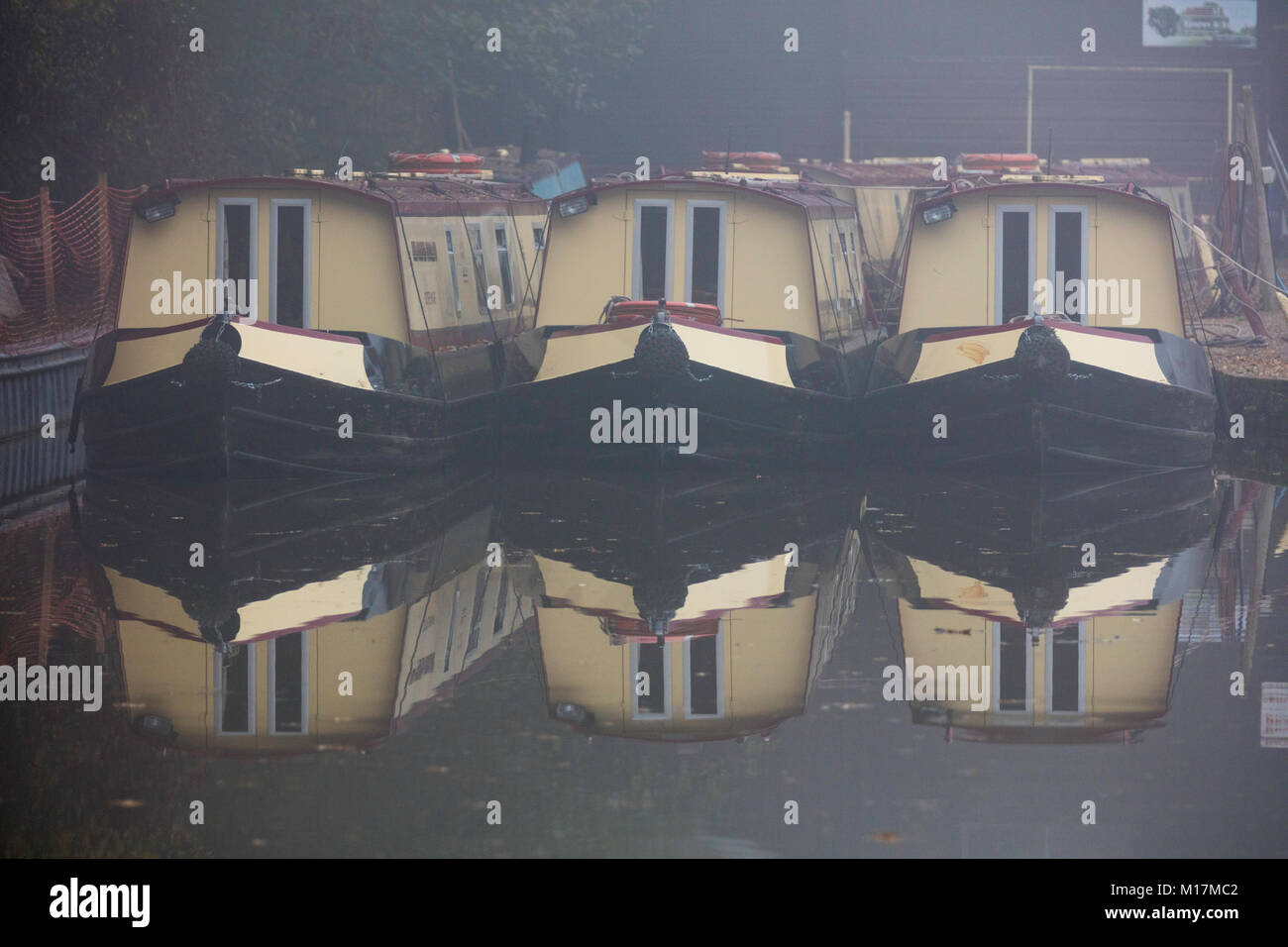 Misty verso Goytre Wharf, Monmouthshire e Brecon Canal, Wales, Regno Unito Foto Stock