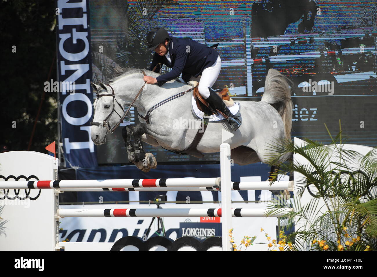 Guadalajara, Jalisco, Messico. Il 27 gennaio, 2018.CSI 4*, Longines World Cup, Federico Fernandez (MEX) Pegasso equitazione. Credito: Pietro Lewellyn/Alamy News Foto Stock