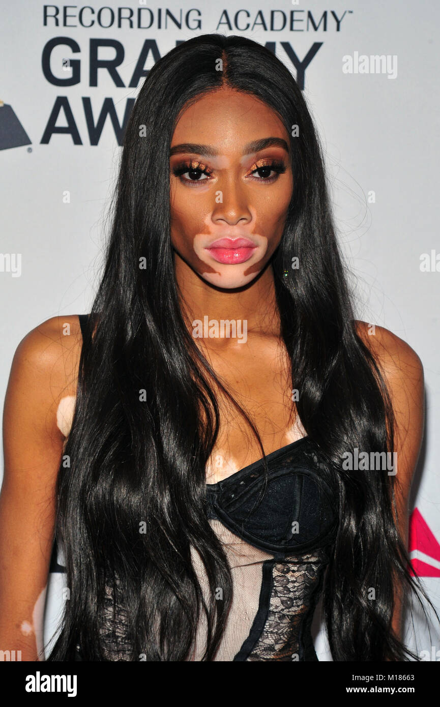 New York, NY, STATI UNITI D'AMERICA. 27 gennaio, 2018. Winnie Harlow a Clive Davis e la Recording Academy Pre-Grammy Gala e salutiamo Grammy per l'industria le icone in onore di Jay-Z su gennaio 27, 2018 a New York City. Credito: John Palmer/media/punzone Alamy Live News Foto Stock