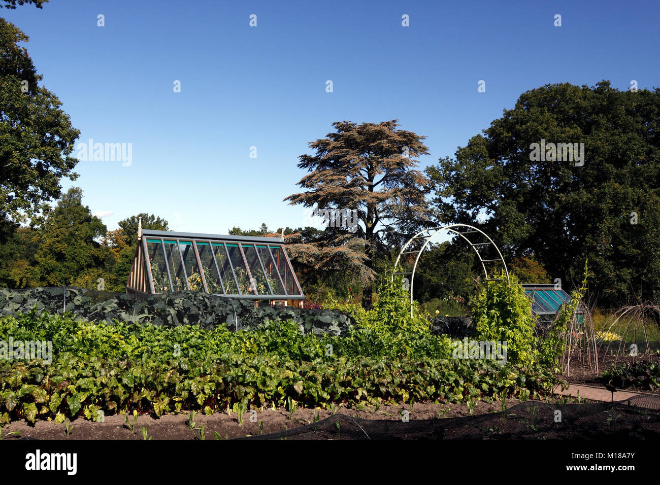 RHS Wisley orto tarda estate. Foto Stock