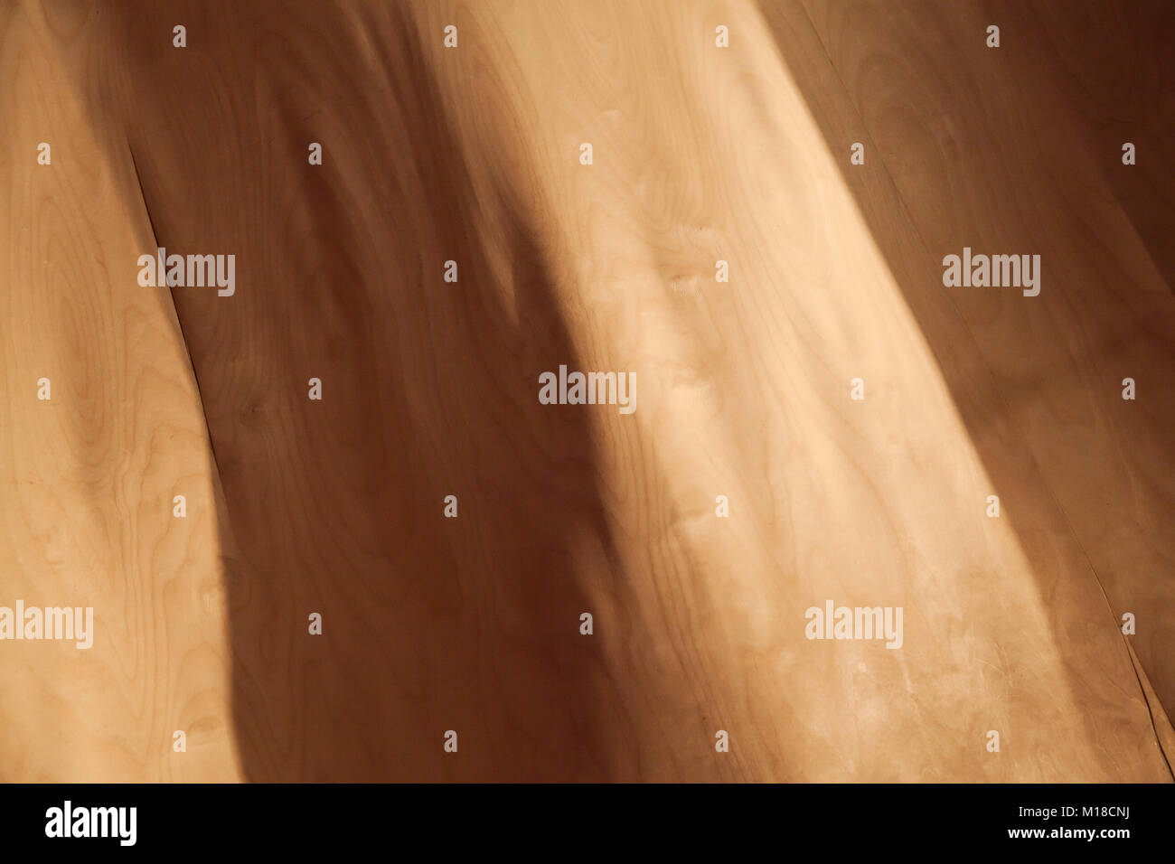 Piegate il foglio di impiallacciatura foto di sfondo texture Foto Stock