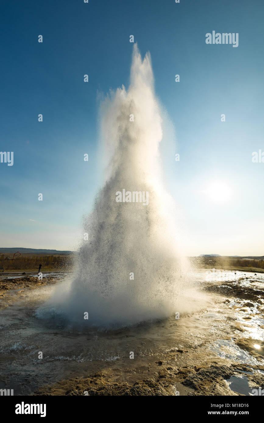 Strokkur geyser che erutta acqua dovute all'attività geotermica backlit su una soleggiata giornata autunnale, southwestern Islanda Foto Stock