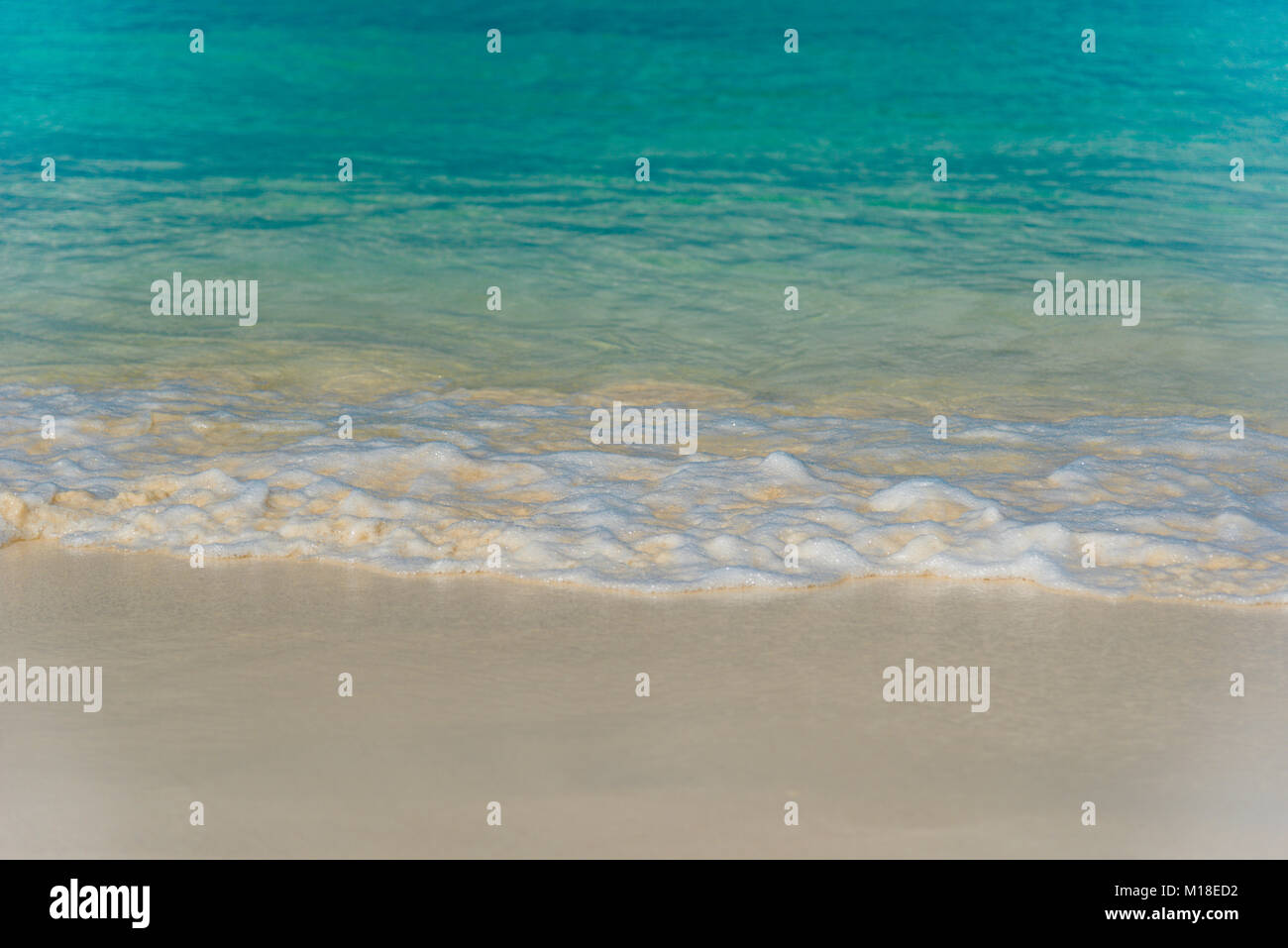 Onde sulla riva idilliaca della Eagle Beach, Aruba Foto Stock