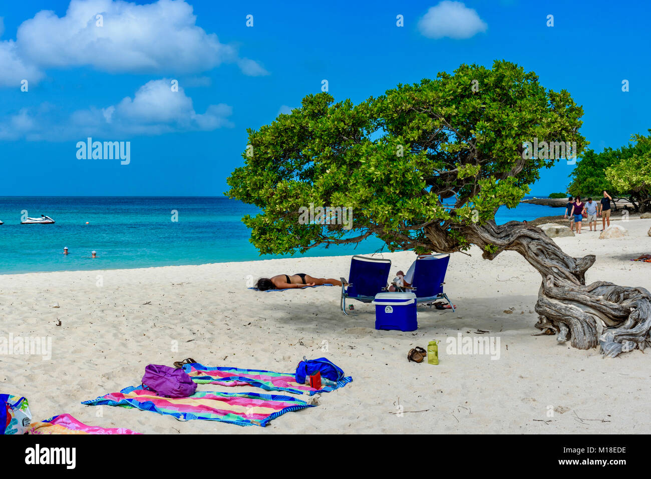 Oranjestad, Aruba - Gennaio 4, 2018: turisti dove rilassarsi sotto un albero di Divi nell'idilliaco Eagle Beach di Aruba. Foto Stock