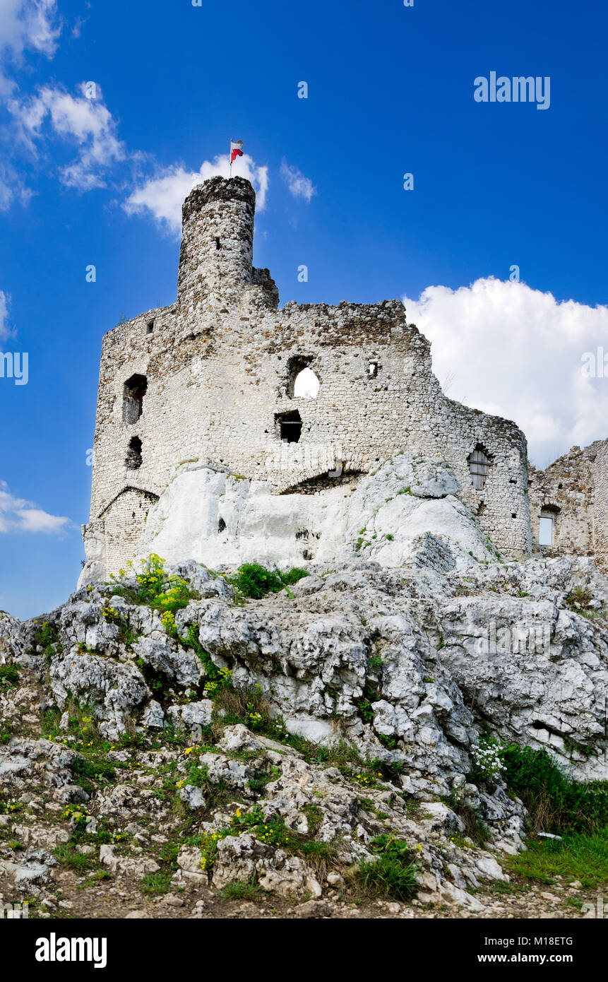 Rovine del Castello medievale in Mirow, parte del sentiero di l'Aquila nidi, polacco Jurassic Highland, Piccola Polonia voivodato, Europa Foto Stock