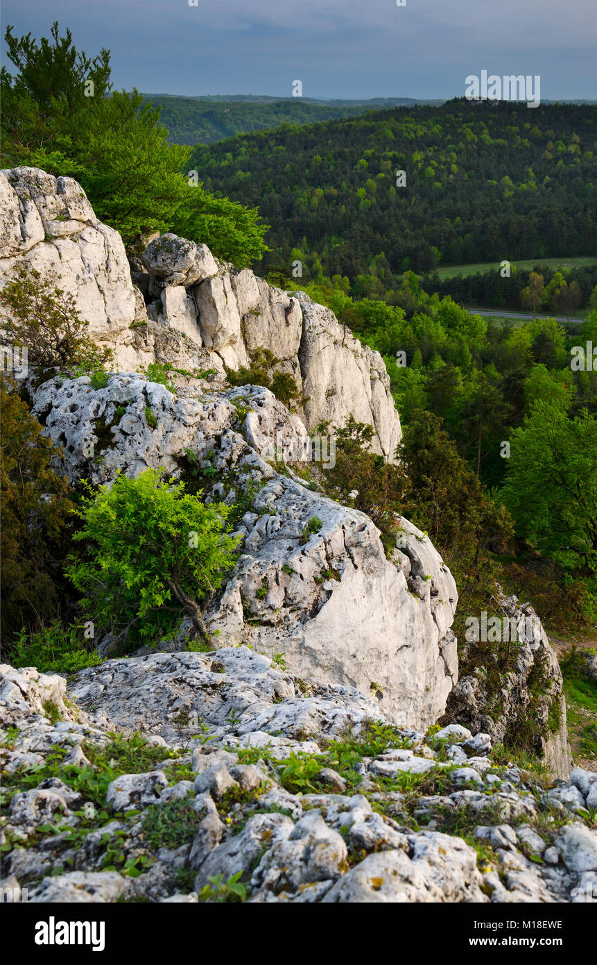 Riserva naturale Monte Zborow / Berkowa. Il polacco Jurassic Highland, Piccola Polonia voivodato, Europa Foto Stock