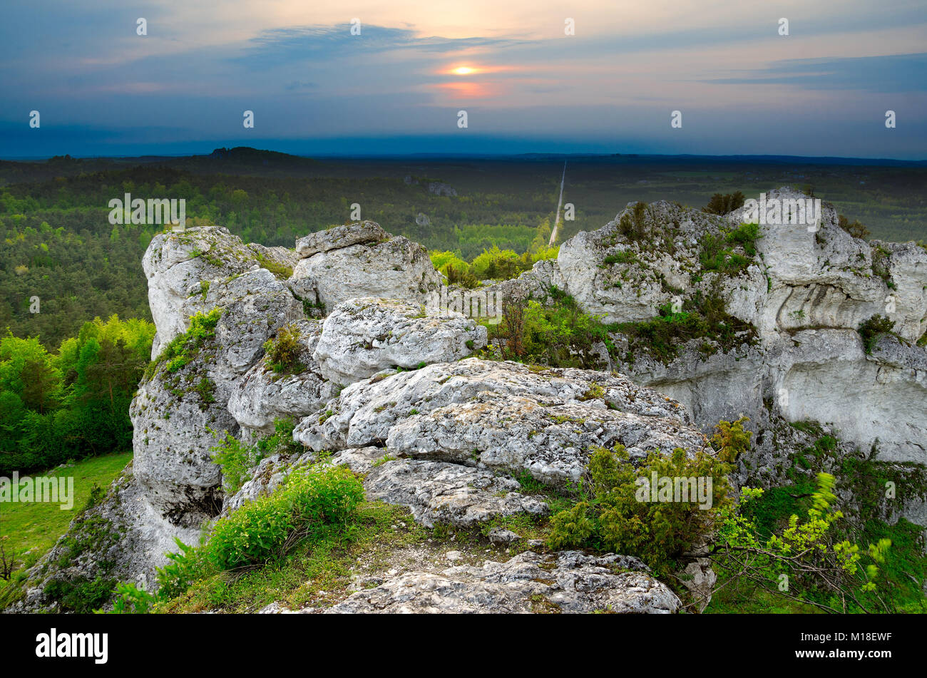 Riserva naturale Monte Zborow / Berkowa. Il polacco Jurassic Highland, Piccola Polonia voivodato, Europa Foto Stock
