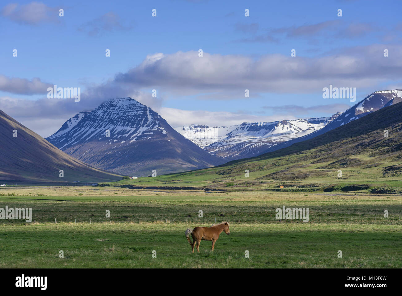 Massiccio montuoso Hagafjall,Hólar,Norðurland vestra,Islanda Foto Stock