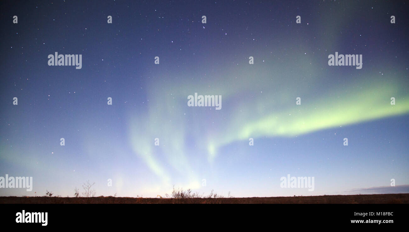 Le luci del nord in ballo nel cielo notturno sopra Churchill in Manitoba, Canada. Foto Stock