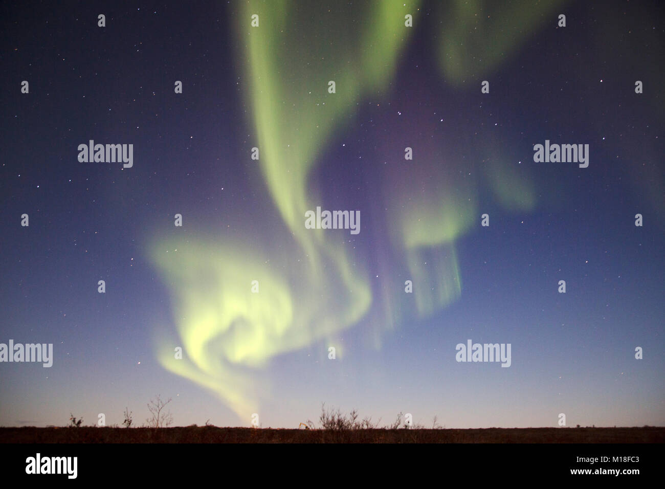 Le luci del nord in ballo nel cielo notturno sopra Churchill in Manitoba, Canada. Foto Stock