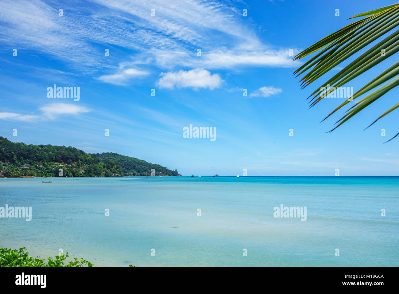 Bellissima laguna con barche in acqua turchese dietro di foglie di palma ad anse a la mouche uno mahé, Seicelle Foto Stock