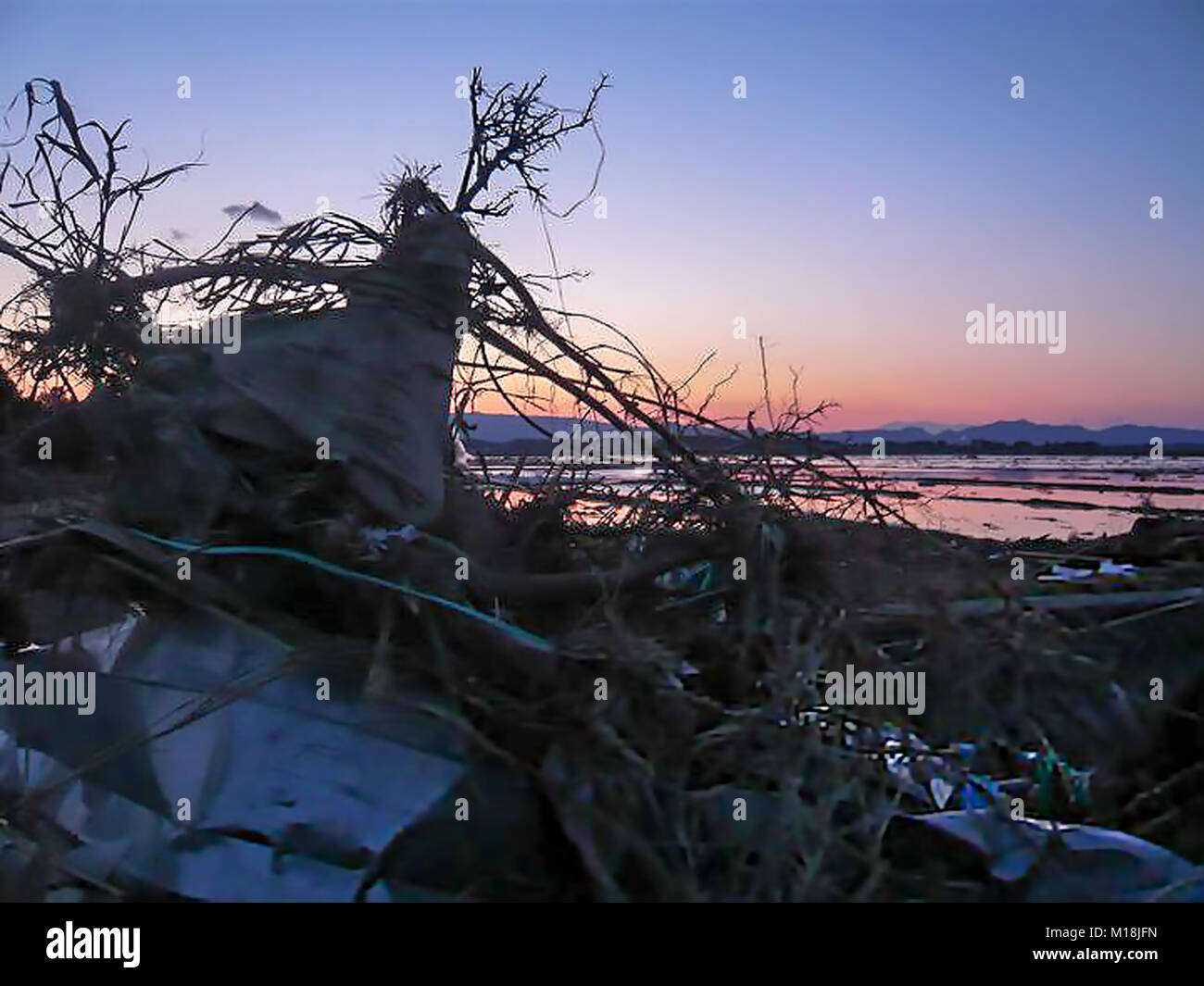 18 marzo 2011, Isobe, Soma, Fukushima, Giappone, hanno devastato la scena nel quartiere Isobe. I campi di riso sono state riempite con acqua di mare e macerie a causa di Tsunami. Poli elettrici sono state piegate e segnali di strada sono state distrutte. L'acqua, di gas e di energia elettrica sono state fuori uso per settimane in questo quartiere. Campo di riso viene desalinizzata adesso. Foto Stock