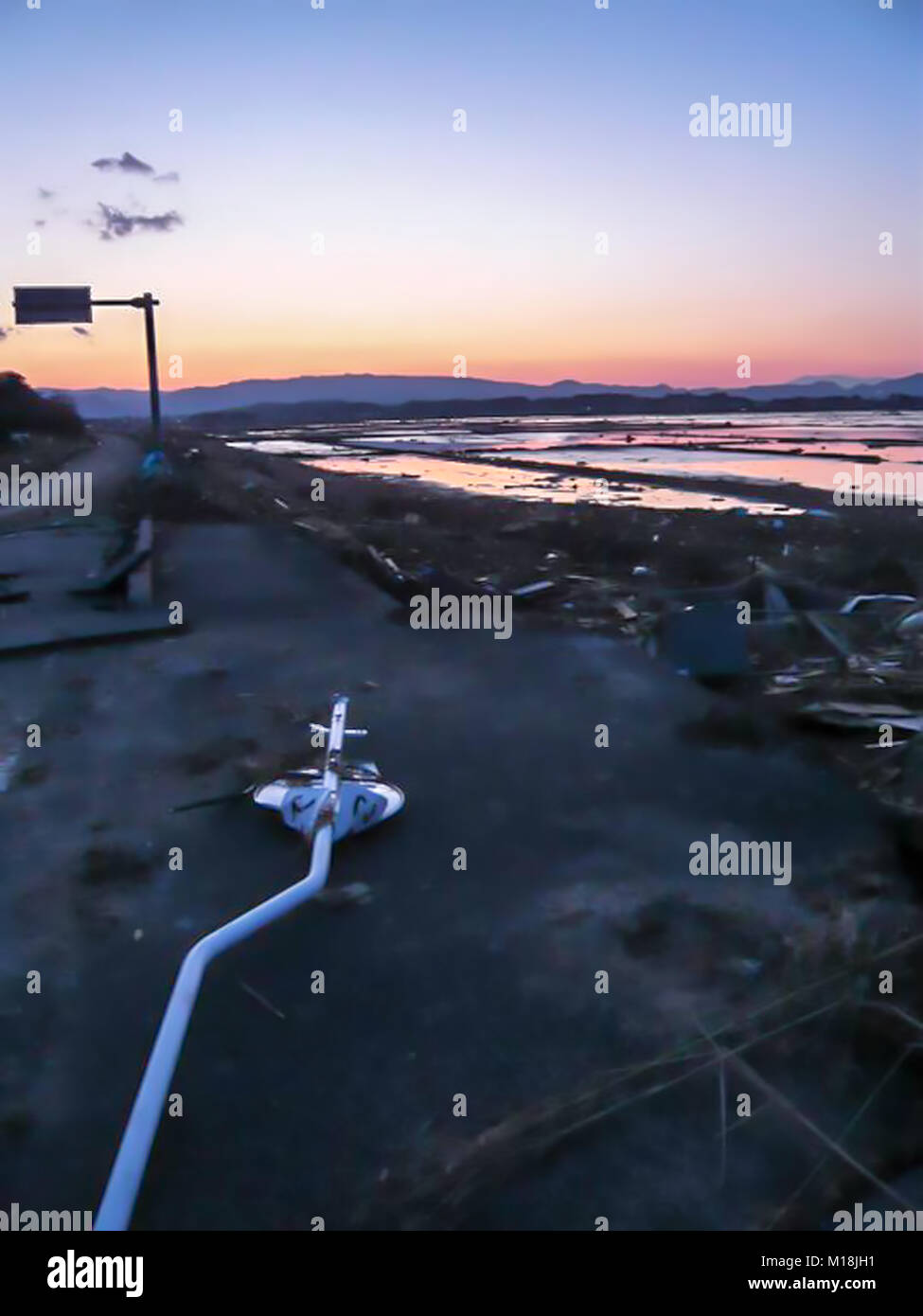 18 marzo 2011, Isobe, Soma, Fukushima, Giappone, hanno devastato la scena nel quartiere Isobe. I campi di riso sono state riempite con acqua di mare e macerie a causa di Tsunami. Poli elettrici sono state piegate e segnali di strada sono state distrutte. L'acqua, di gas e di energia elettrica sono state fuori uso per settimane in questo quartiere. Campo di riso viene desalinizzata adesso. Foto Stock