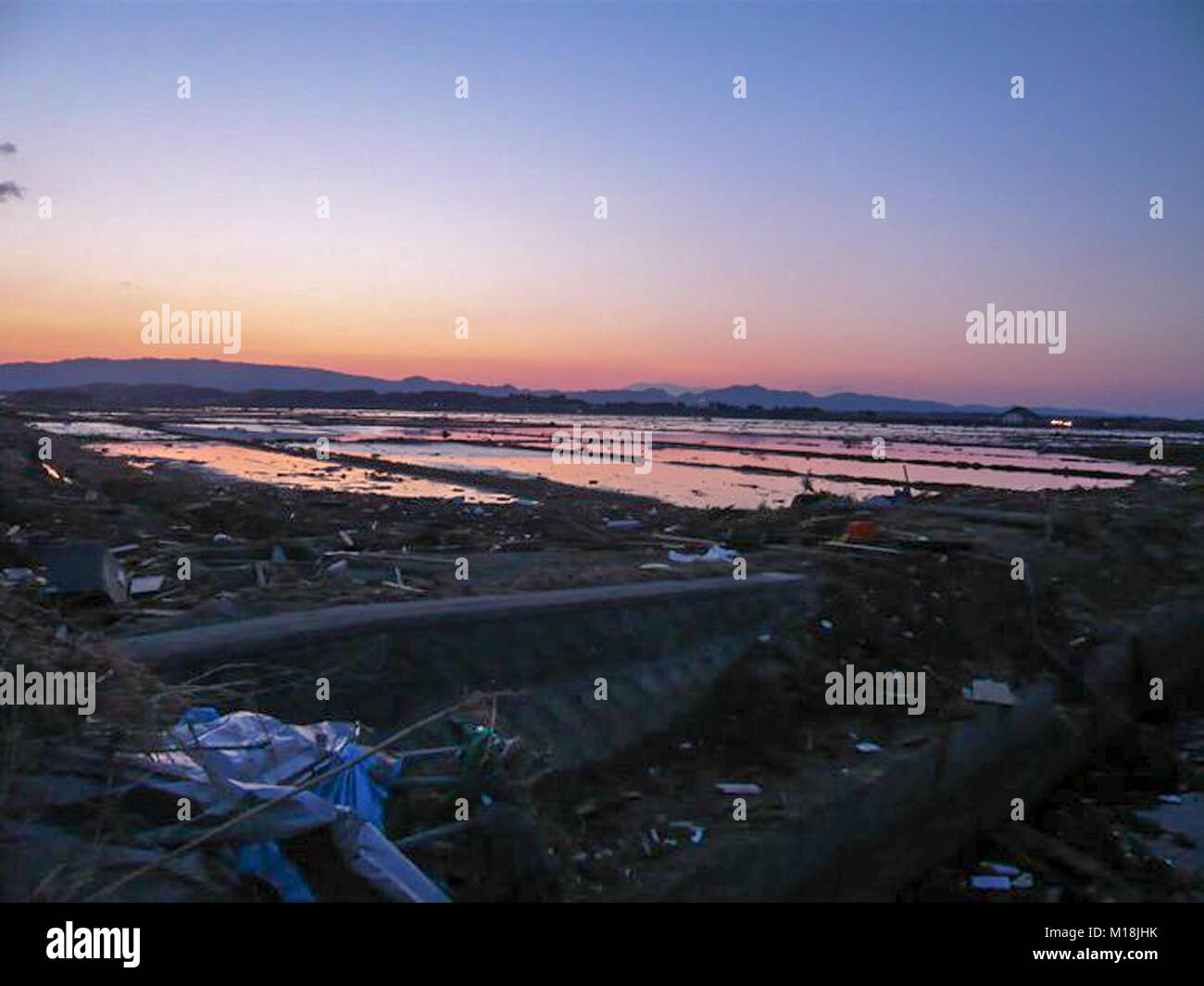 18 marzo 2011, Isobe, Soma, Fukushima, Giappone, hanno devastato la scena nel quartiere Isobe. I campi di riso sono state riempite con acqua di mare e macerie a causa di Tsunami. Poli elettrici sono state piegate e segnali di strada sono state distrutte. L'acqua, di gas e di energia elettrica sono state fuori uso per settimane in questo quartiere. Campo di riso viene desalinizzata adesso. Foto Stock