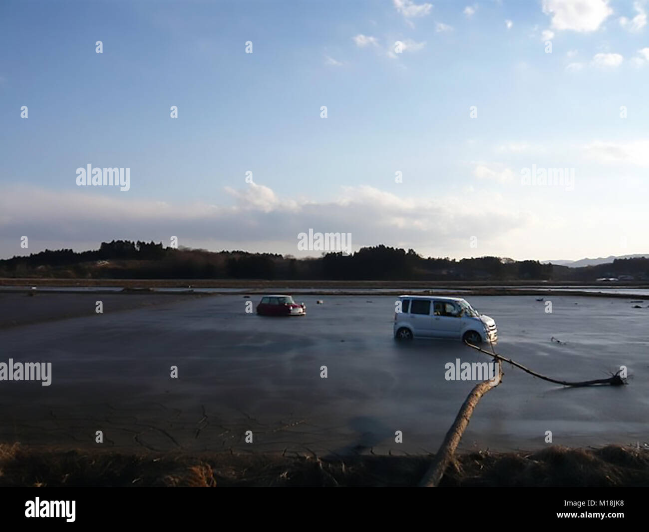 18 marzo 2011, Isobe, Soma, Fukushima, Giappone, hanno devastato la scena nel quartiere Isobe. I campi di riso sono state riempite con acqua di mare, automobili e macerie a causa di Tsunami. Poli elettrici sono state piegate e segnali di strada sono state distrutte. L'acqua, di gas e di energia elettrica sono state fuori uso per settimane in questo quartiere. Campo di riso viene desalinizzata adesso. Foto Stock