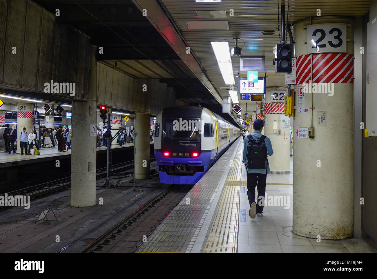 Tokyo, Giappone - 29 set 2017. Un treno in arrivo alla stazione della metropolitana di Tokyo, Giappone. Il trasporto ferroviario in Giappone è uno dei principali mezzi di trasporto di passeggeri. Foto Stock