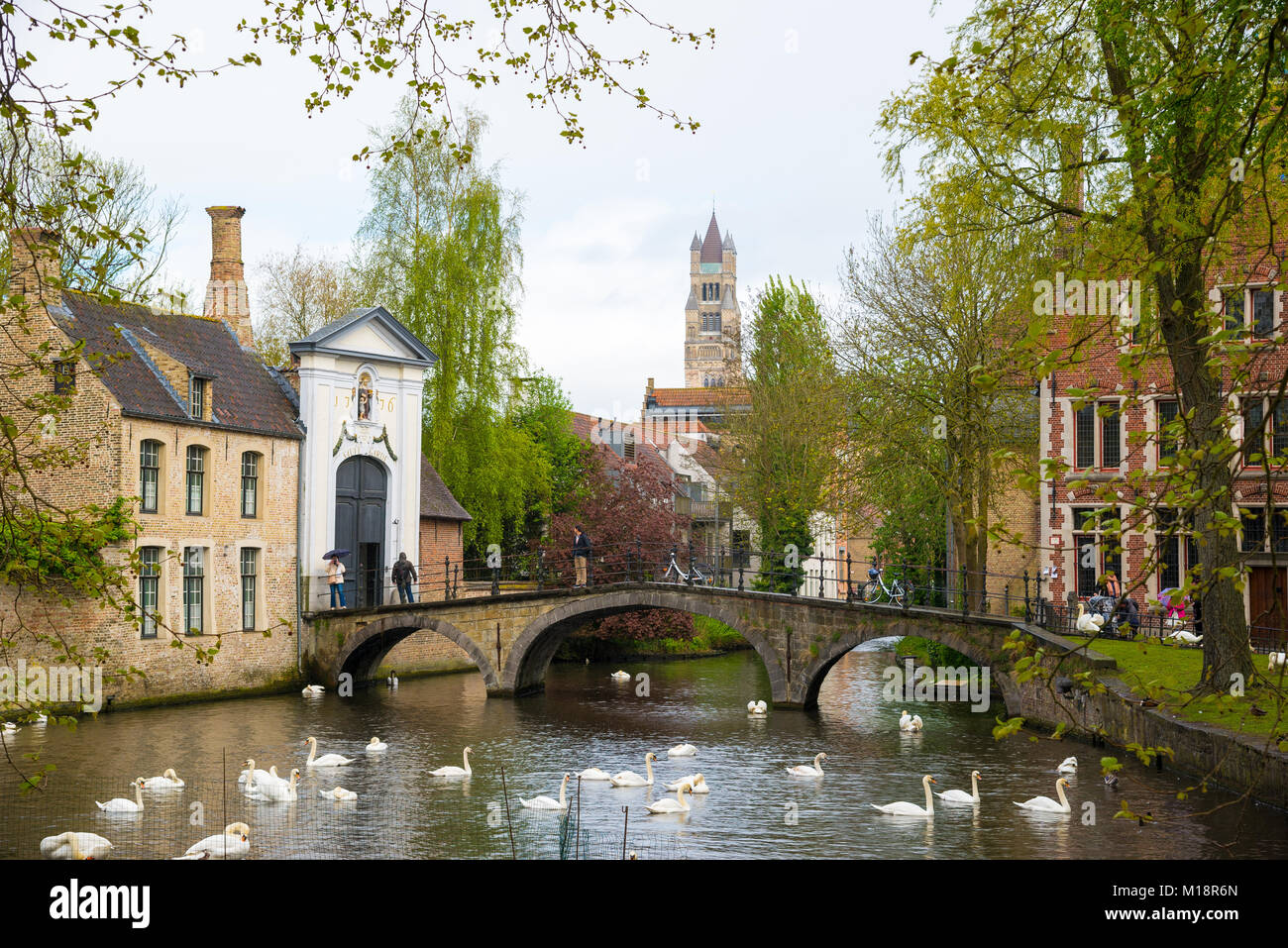 Bruges, Belgio - 17 Aprile 2017: Cigni nel lago di amore in Bruges, canale vista panoramica vicino Begijnhof Foto Stock