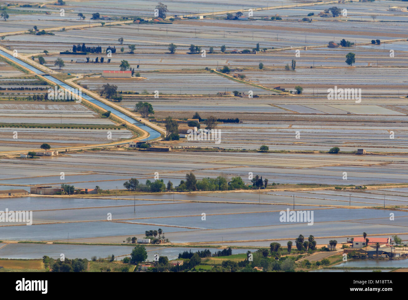 Risaie allagate nel delta del fiume Ebro, la Catalogna in Spagna Foto Stock