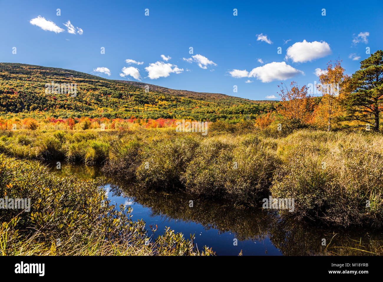 Parco Nazionale di Acadia   isola di Mount Desert, Maine, Stati Uniti d'America Foto Stock