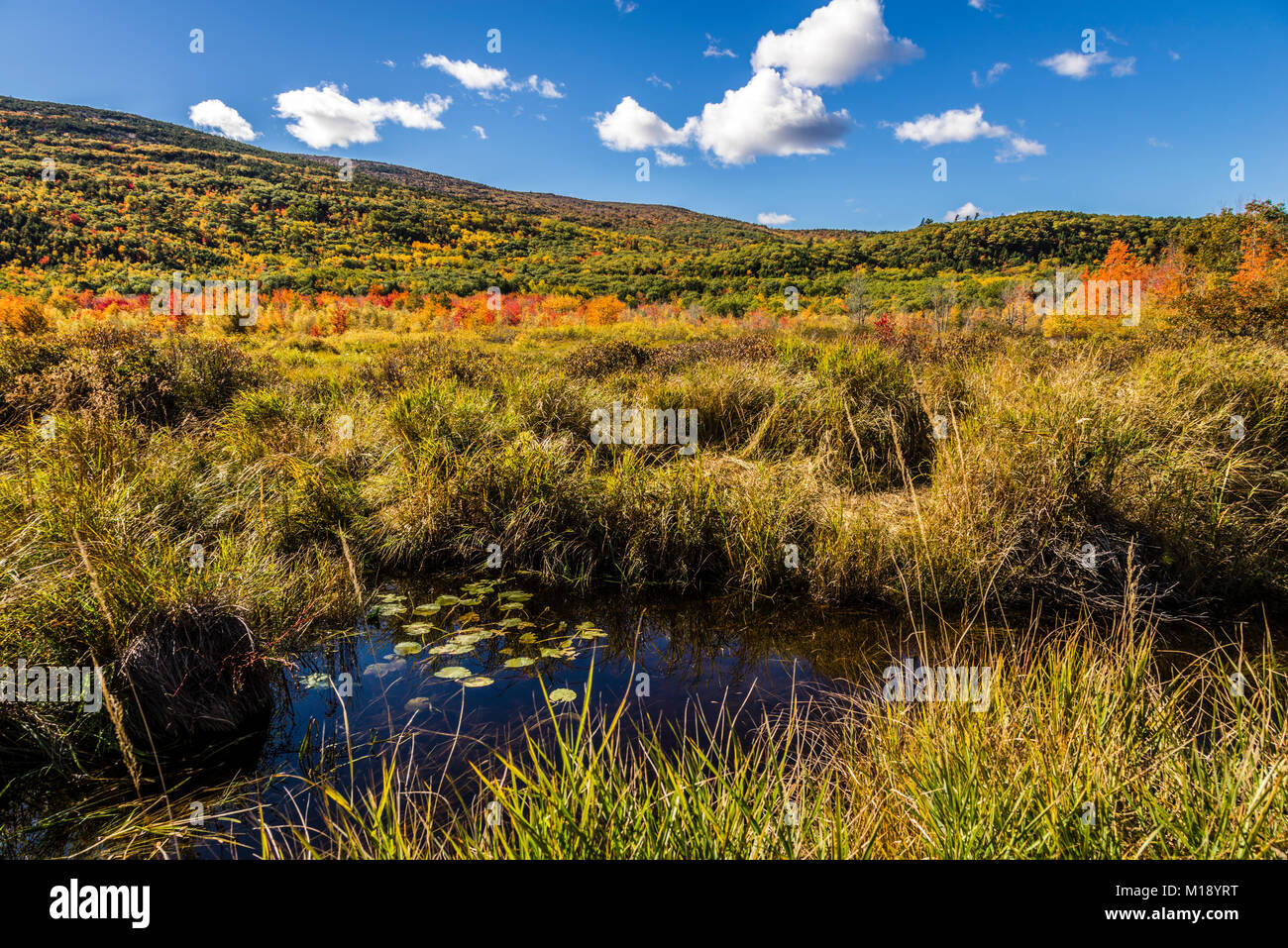 Parco Nazionale di Acadia   isola di Mount Desert, Maine, Stati Uniti d'America Foto Stock