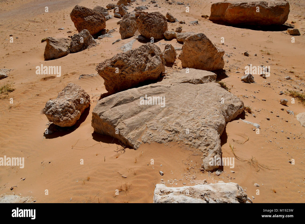 Scenario desertico e il paesaggio con il deserto di sabbia e formazioni rocciose Foto Stock