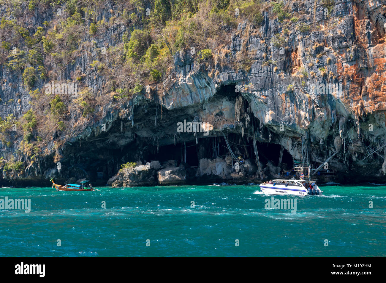 Isola di Phi Phi Krabi Thailandia Gennaio 28, 2016 Koh Phi Phi Lee, la Grotta del Vichingo, dove uccelli' nidi sono raccolte per uccelli' zuppa nido. Foto Stock