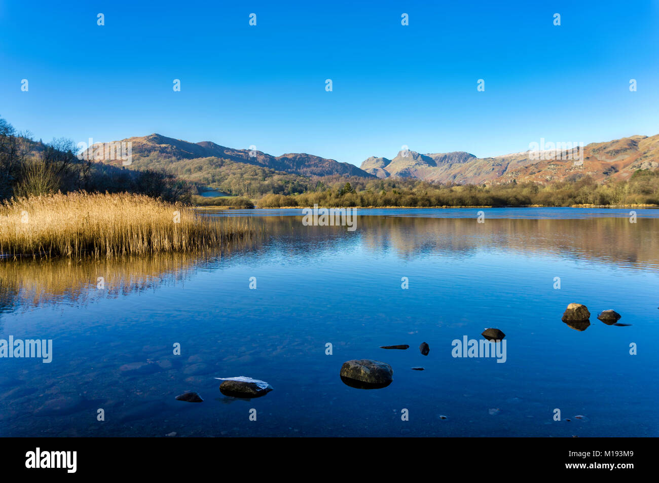 Una calma Elterwater con The Langdale Pikes in distanza Foto Stock