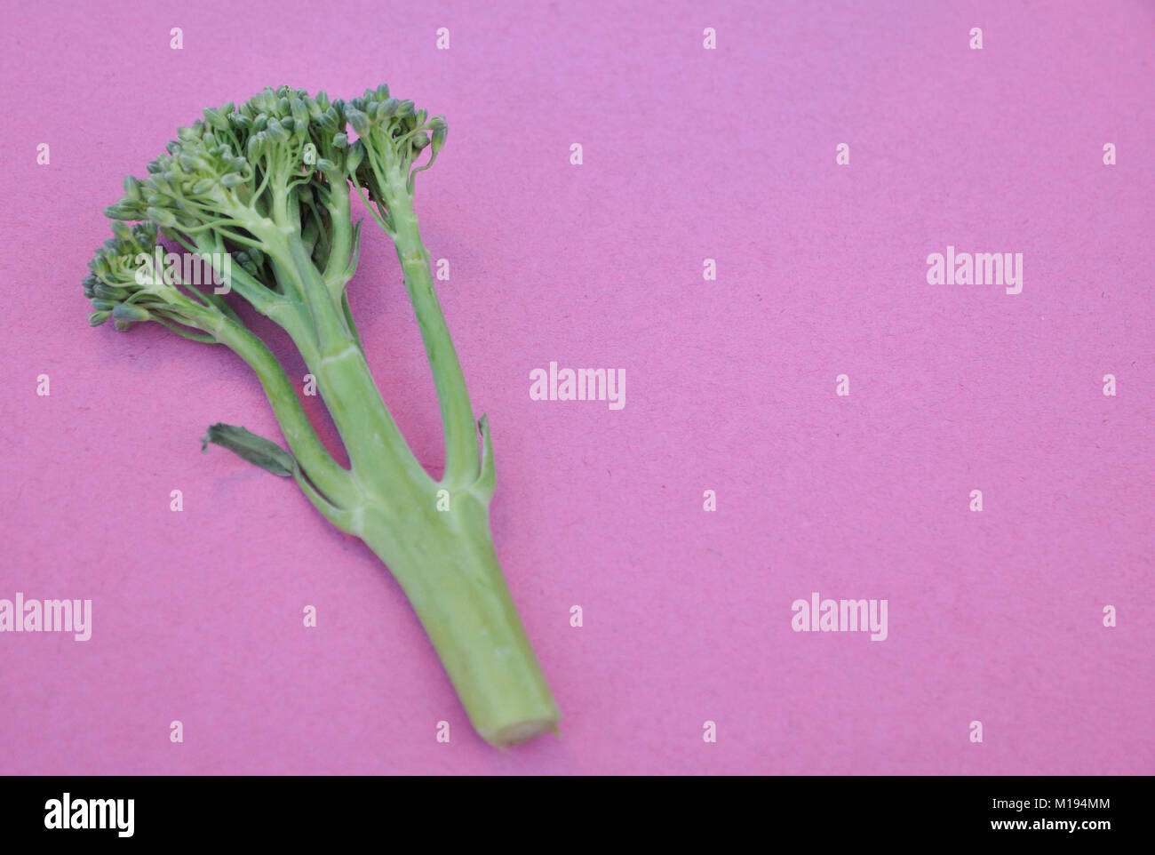 Stelo di gara broccoli Foto Stock