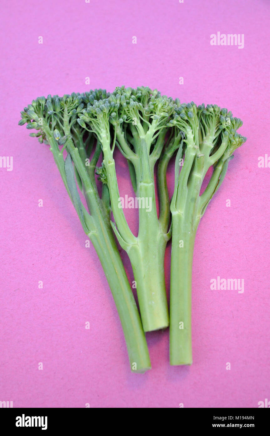 Stelo di gara broccoli Foto Stock