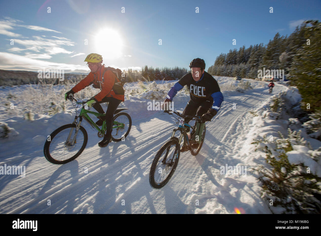 Pilota al Strathpuffer 24 ora mountain bike race a Strathpeffer nelle Highlands Scozzesi. Foto Stock