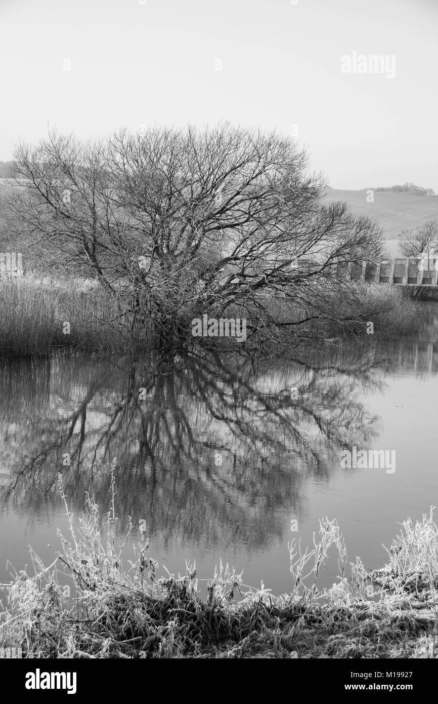 Un pupazzo di neve la mattina in Amberley West Sussex Foto Stock