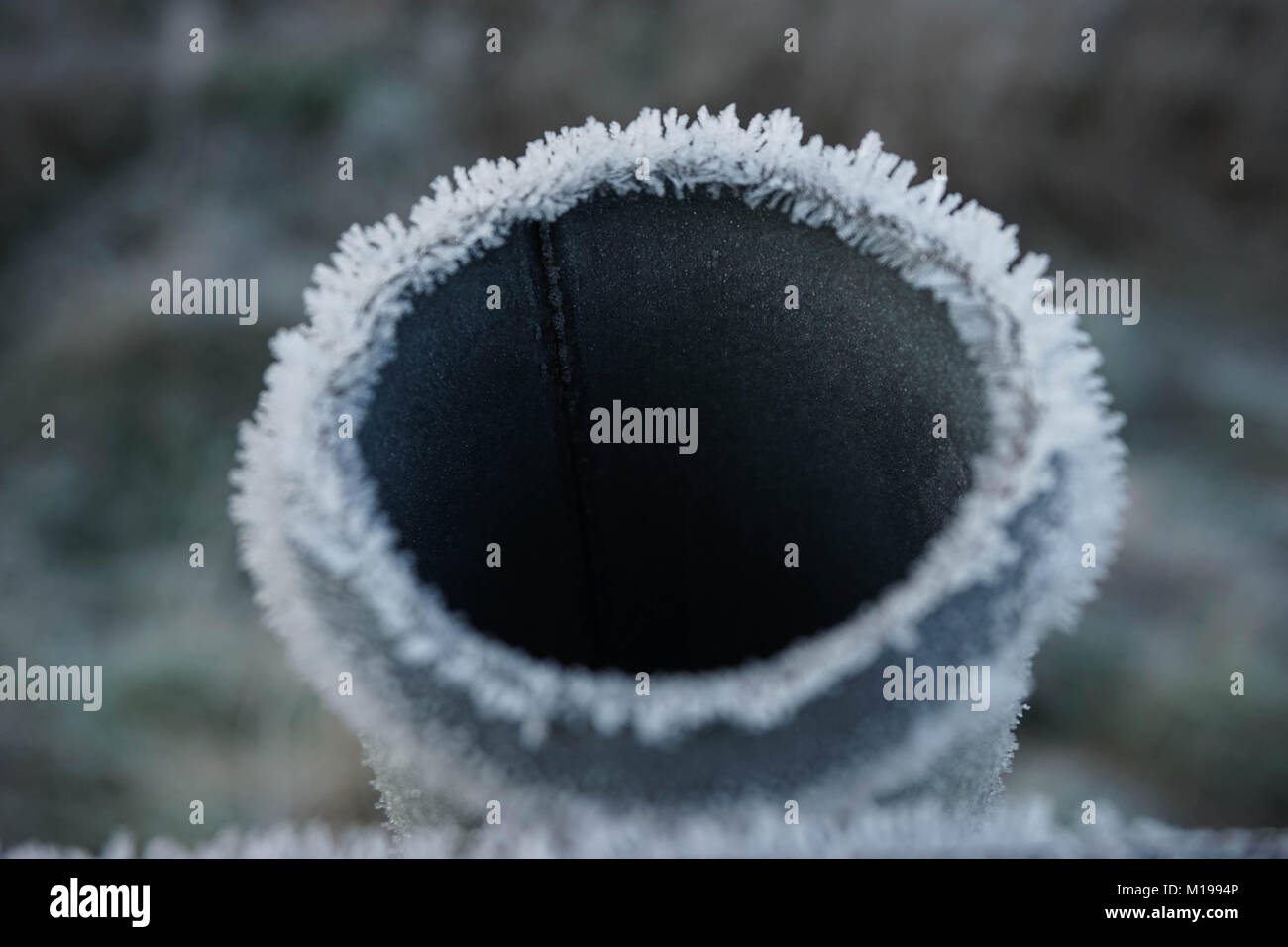 Un pupazzo di neve la mattina in Amberley West Sussex Foto Stock