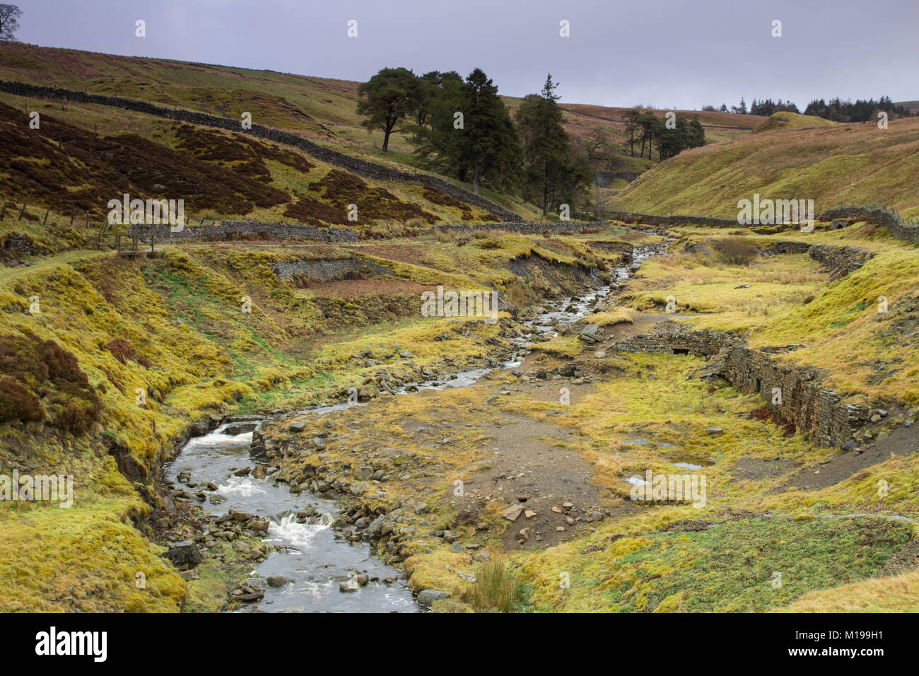 Sito della miniera di piombo lavorazioni vicino Garrigill, Cumbria Foto Stock