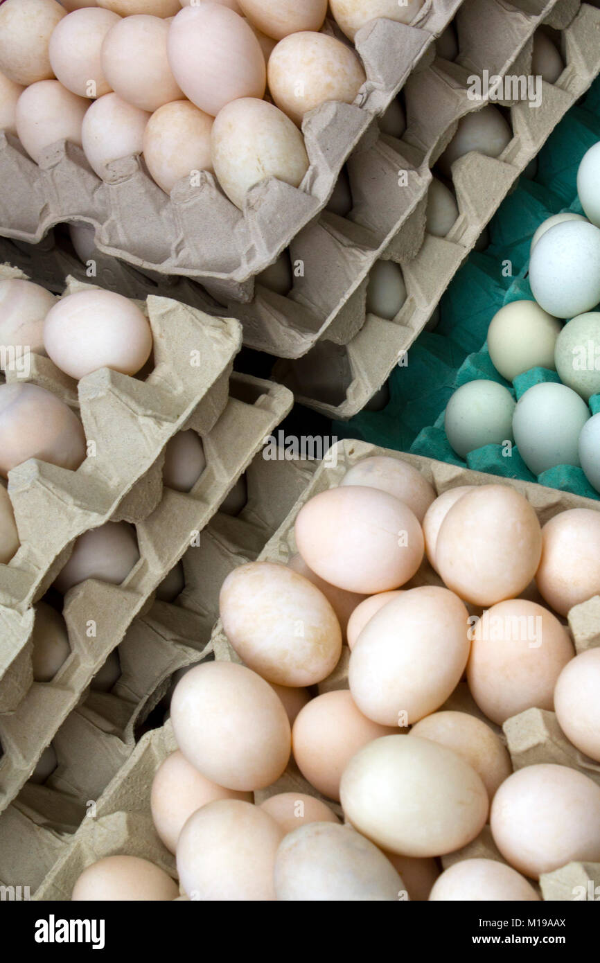 I vassoi di galline e uova di anatra compresi Cotswold Legbar blue uova di galline su uno stallo al Mercato di Borough, London, Regno Unito Foto Stock